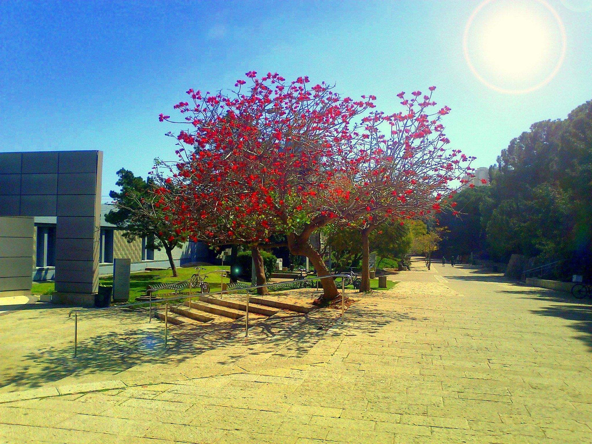 Technion Center for Particle Physics (TCPP) 